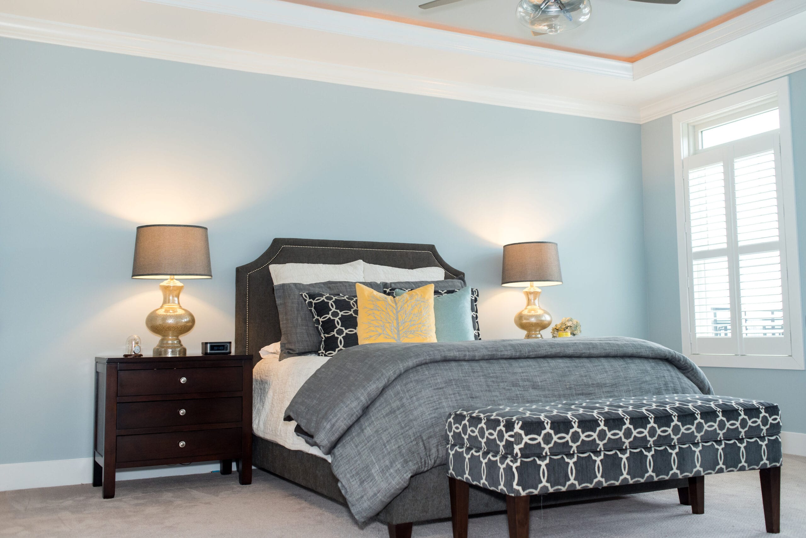 Primary bedroom with tray ceiling